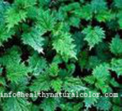 3,4-Divanillyltetrahydrofuran (Nettle Root Extract)